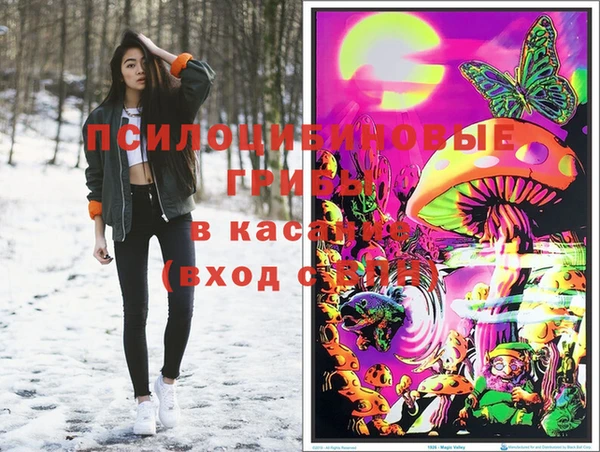 спайс Арсеньев