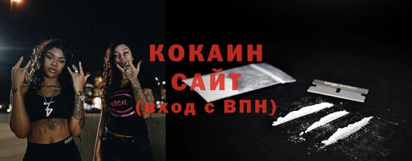 спайс Арсеньев