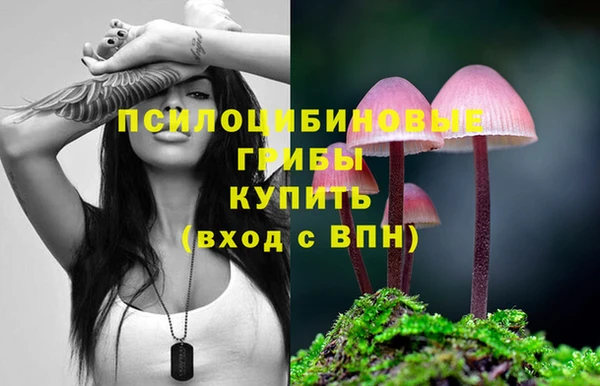 синтетический гашиш Балахна