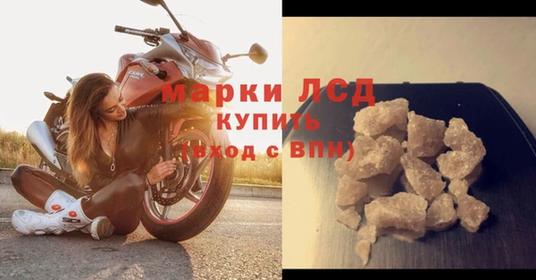 спайс Арсеньев