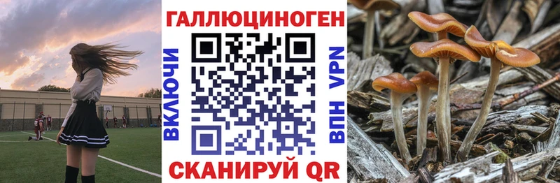 это состав  что такое   Отрадный  Галлюциногенные грибы MAGIC MUSHROOMS 
